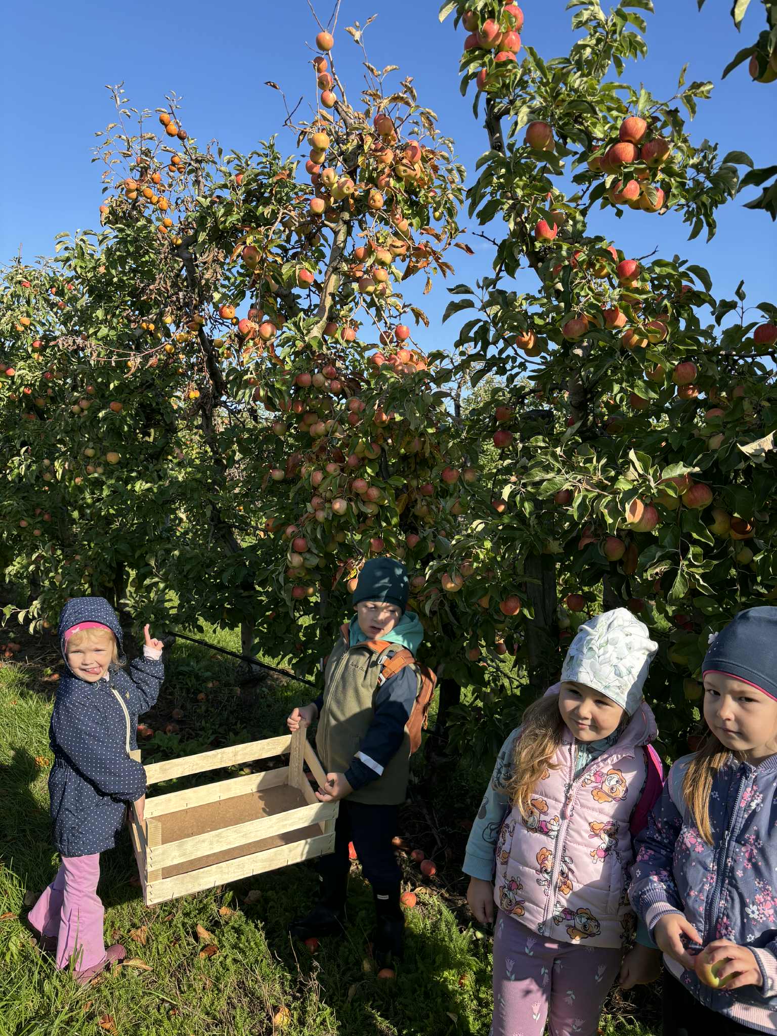 556278959_3398058403681123_4341564920920483045_n