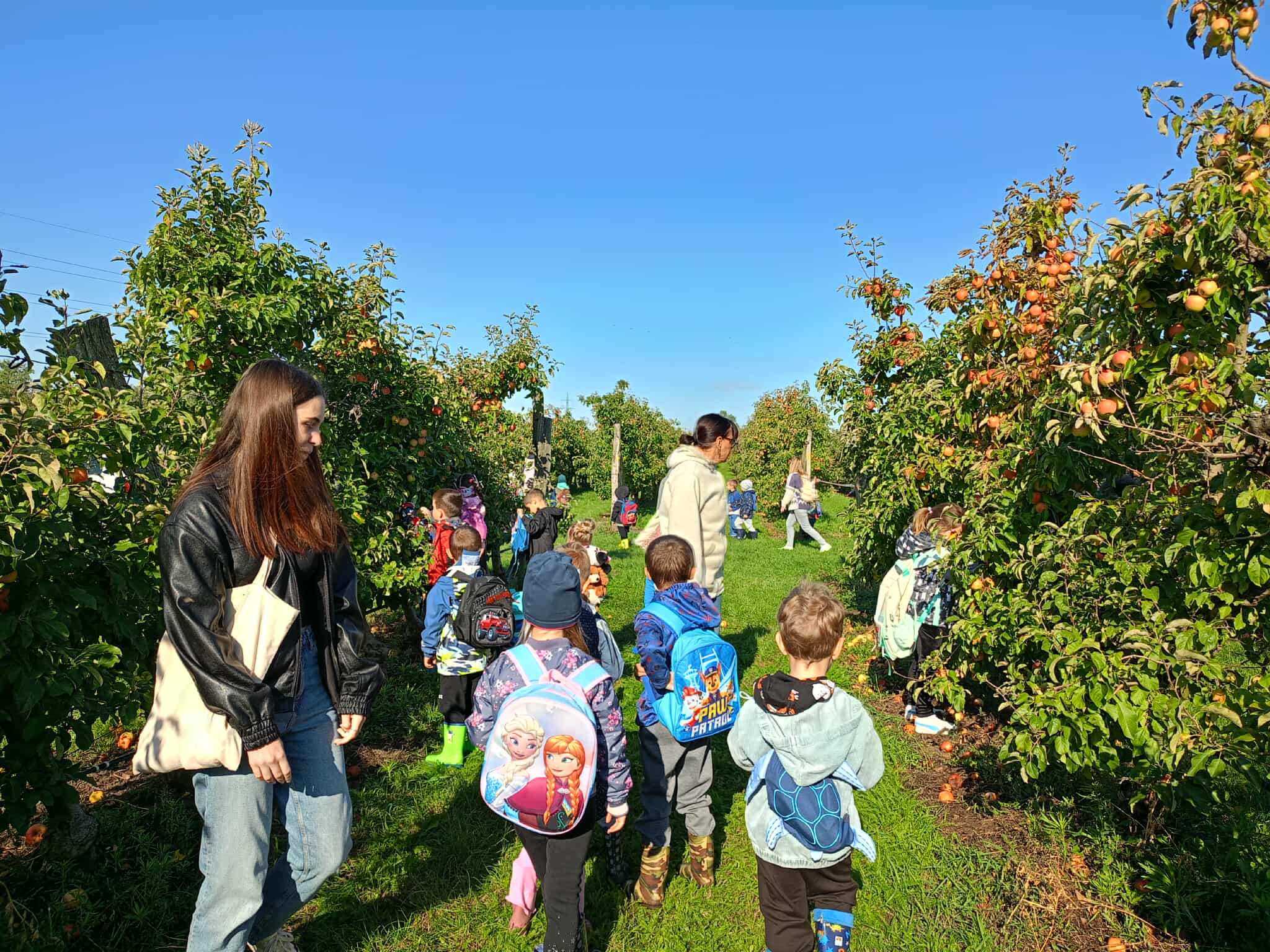 555673811_3398055583681405_4813005044353663086_n