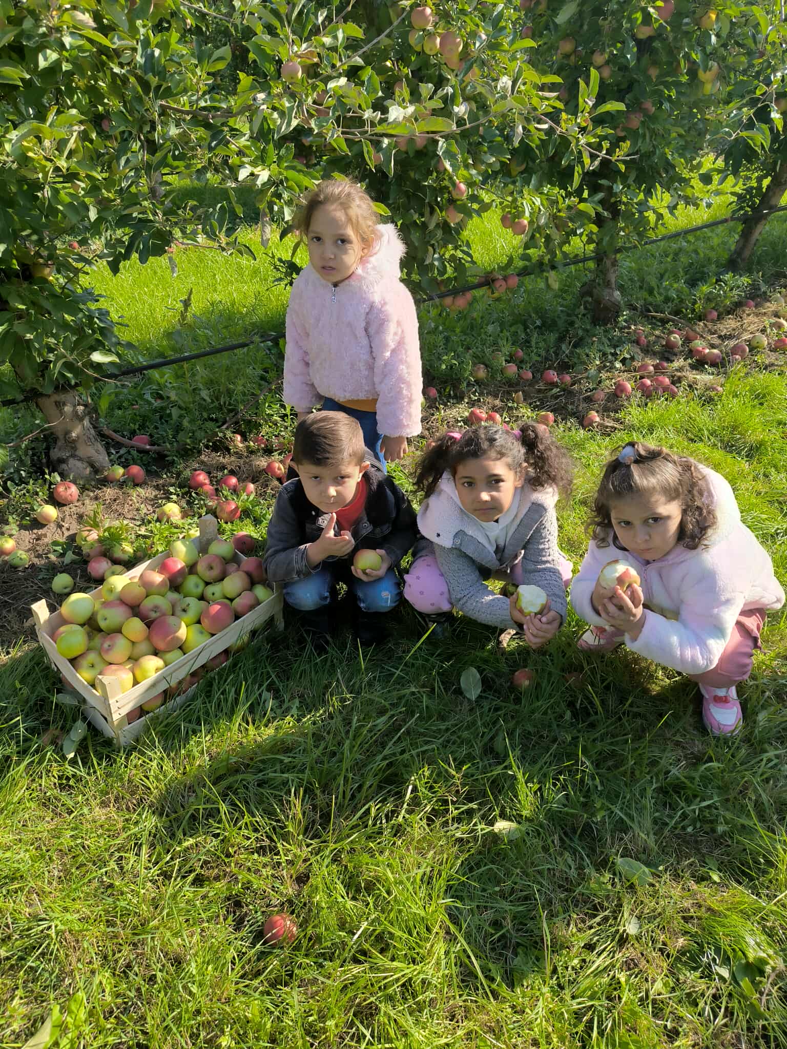 555566622_3398054017014895_7694403958667977024_n