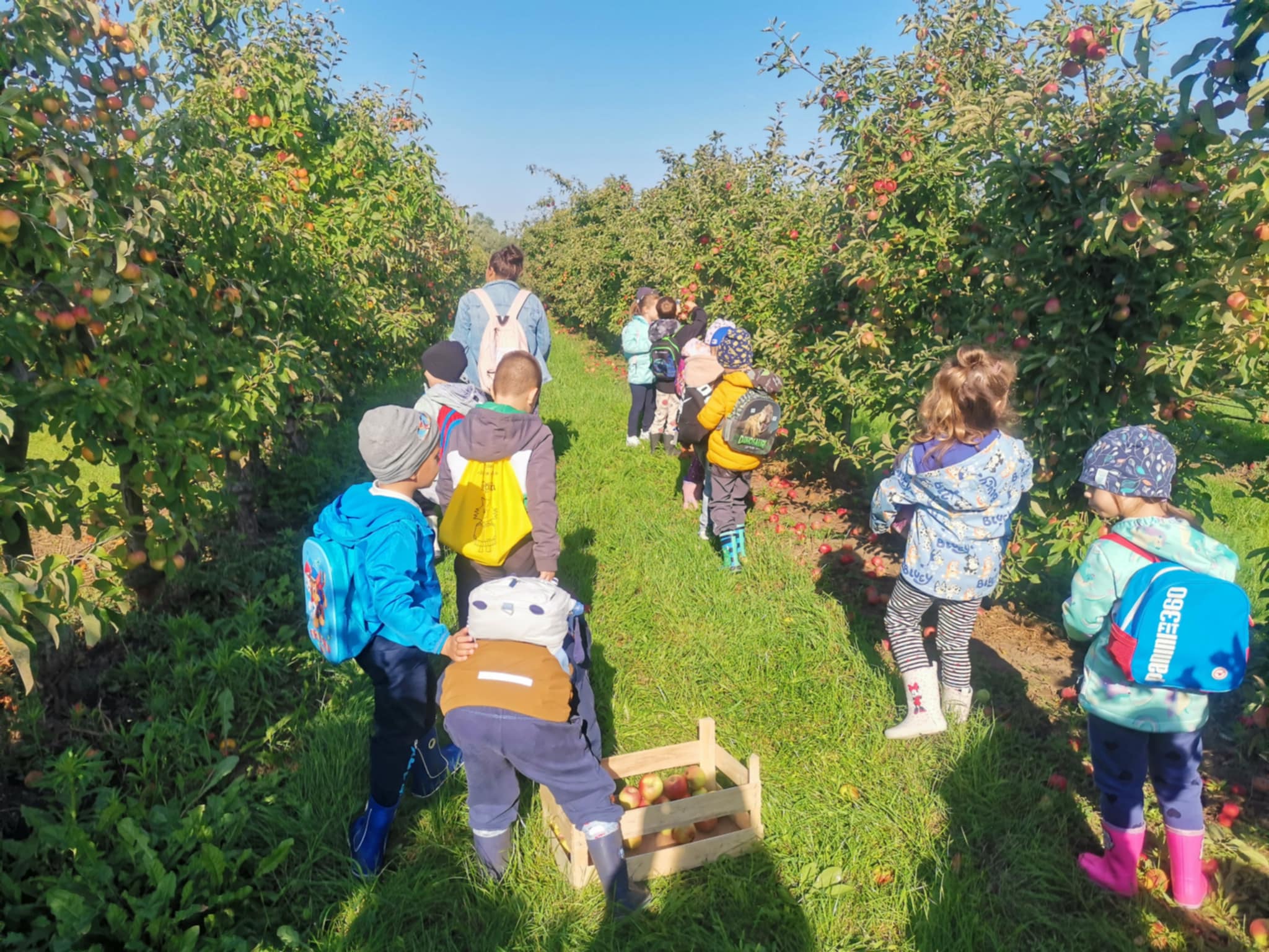 555466312_3398053327014964_7982259163520546423_n