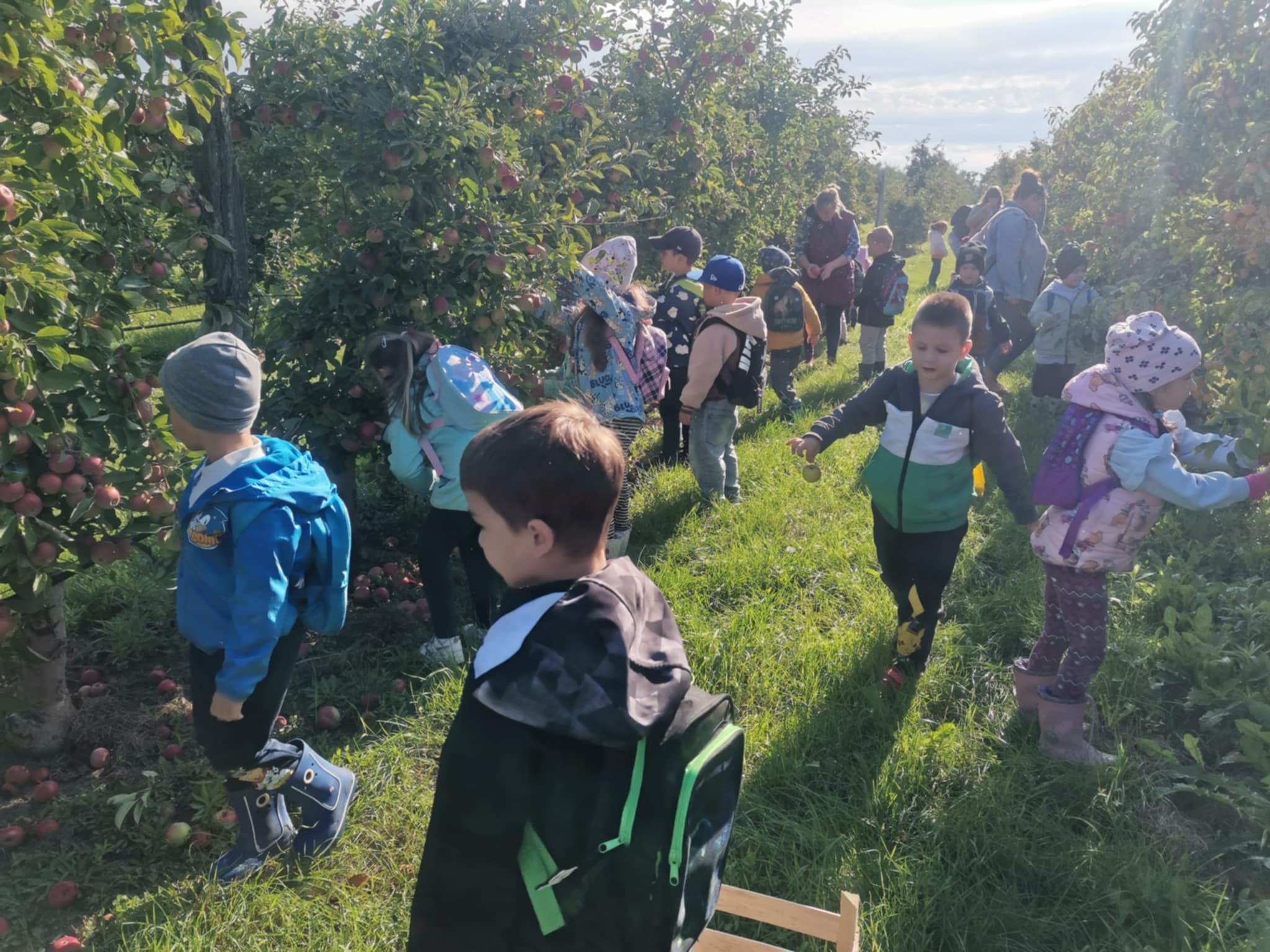 555908464_3398053000348330_1941542465631842941_n