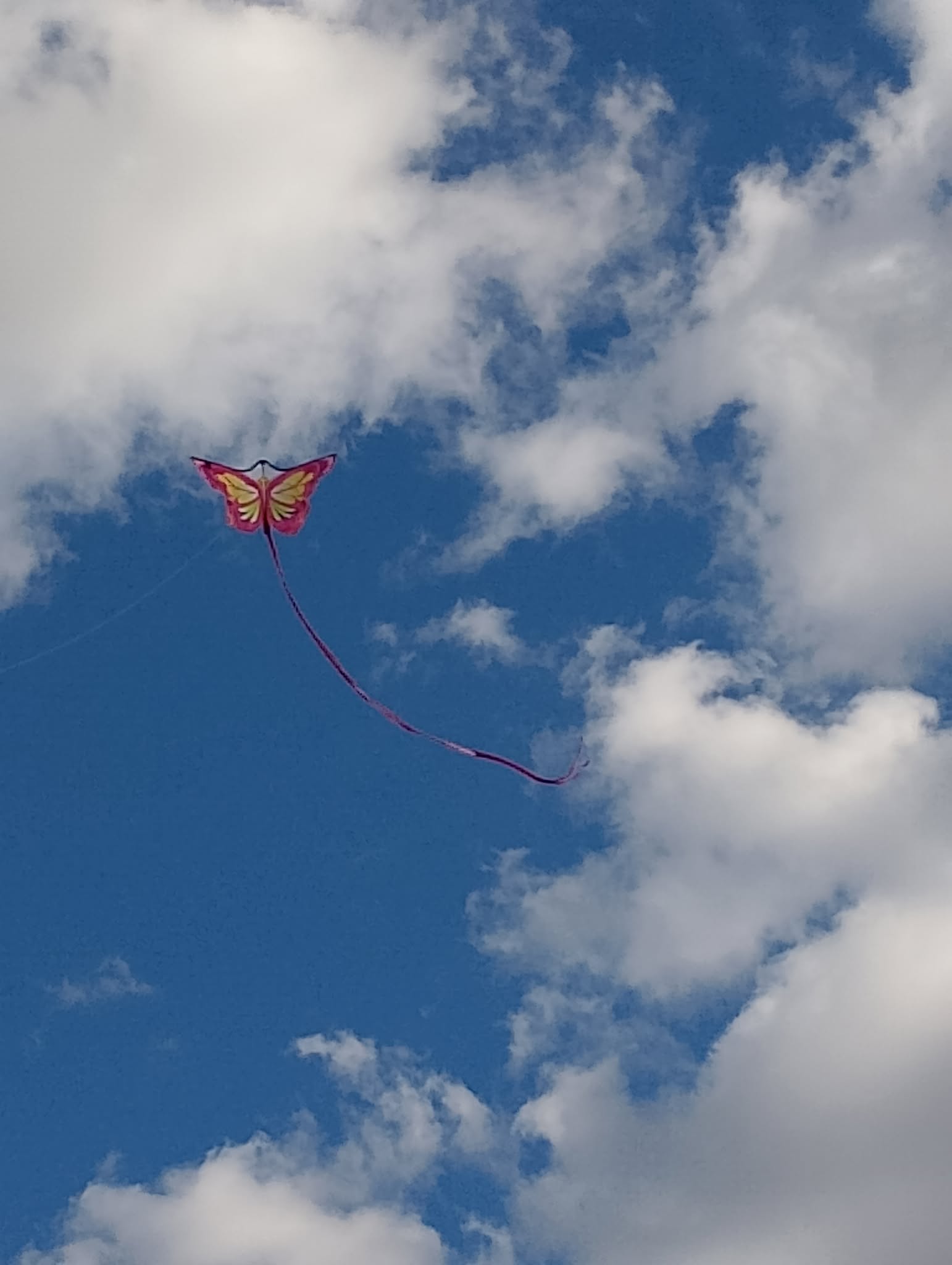 555522929_826511683197869_6983754453999907125_n