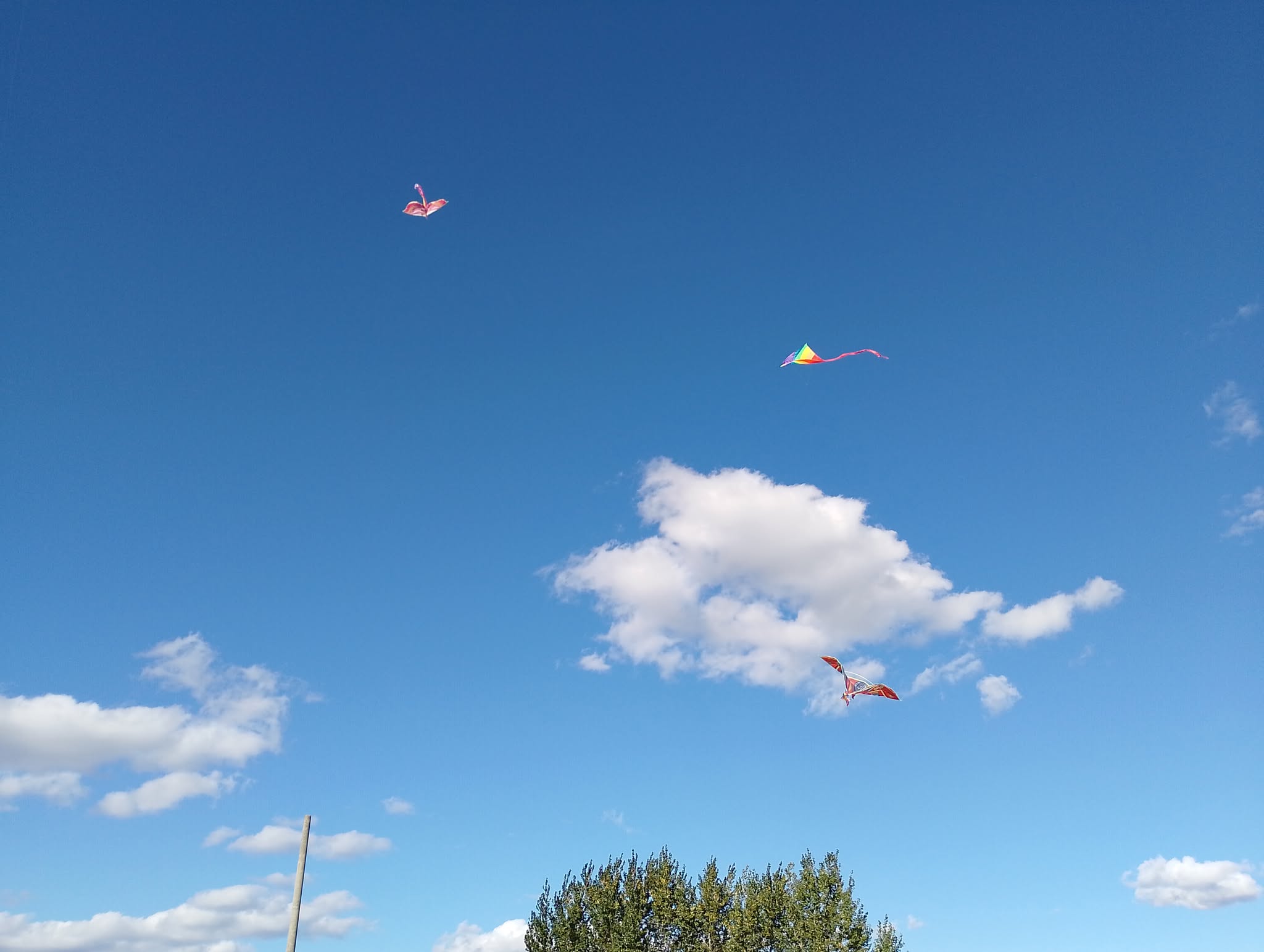 564628666_787824350818625_218976850962840713_n