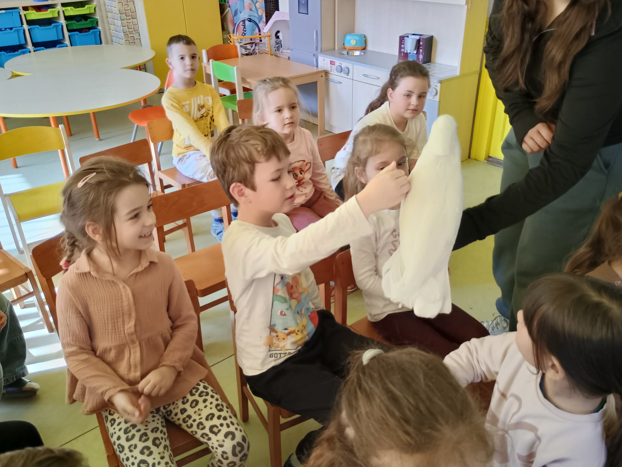 643287750_957247307051968_2023650479269714061_n