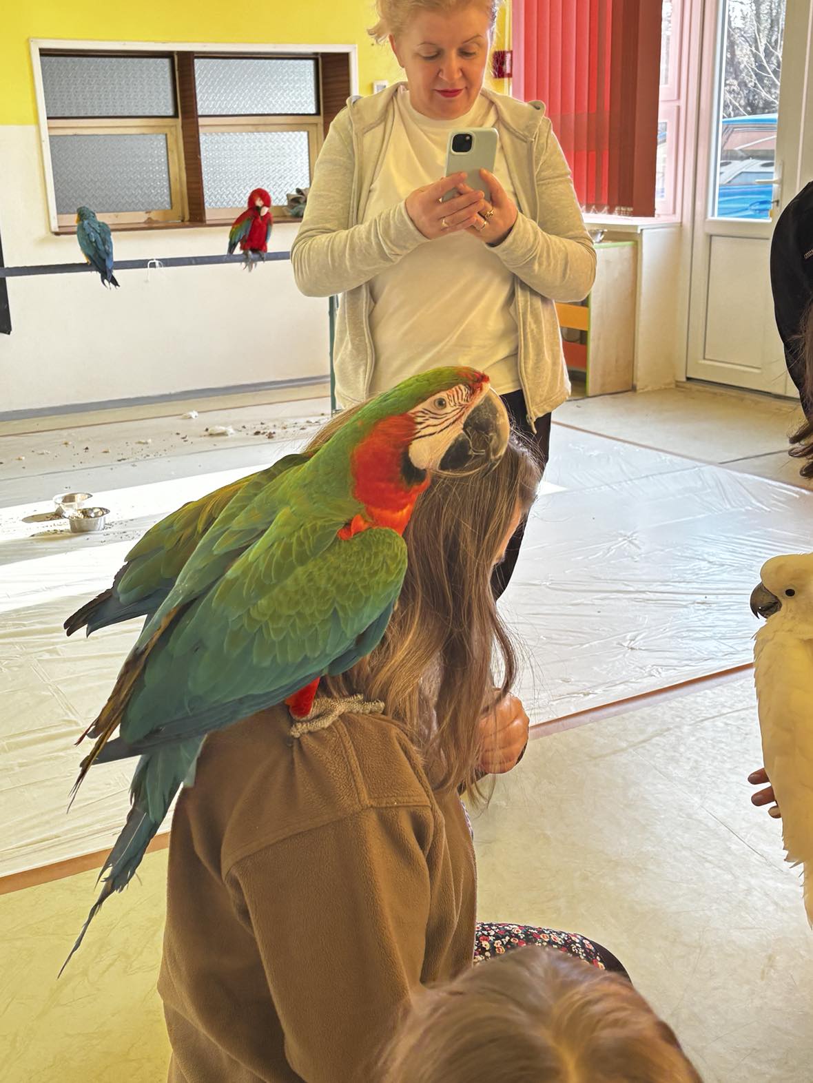 643012722_1980088082859143_3316092737221704260_n