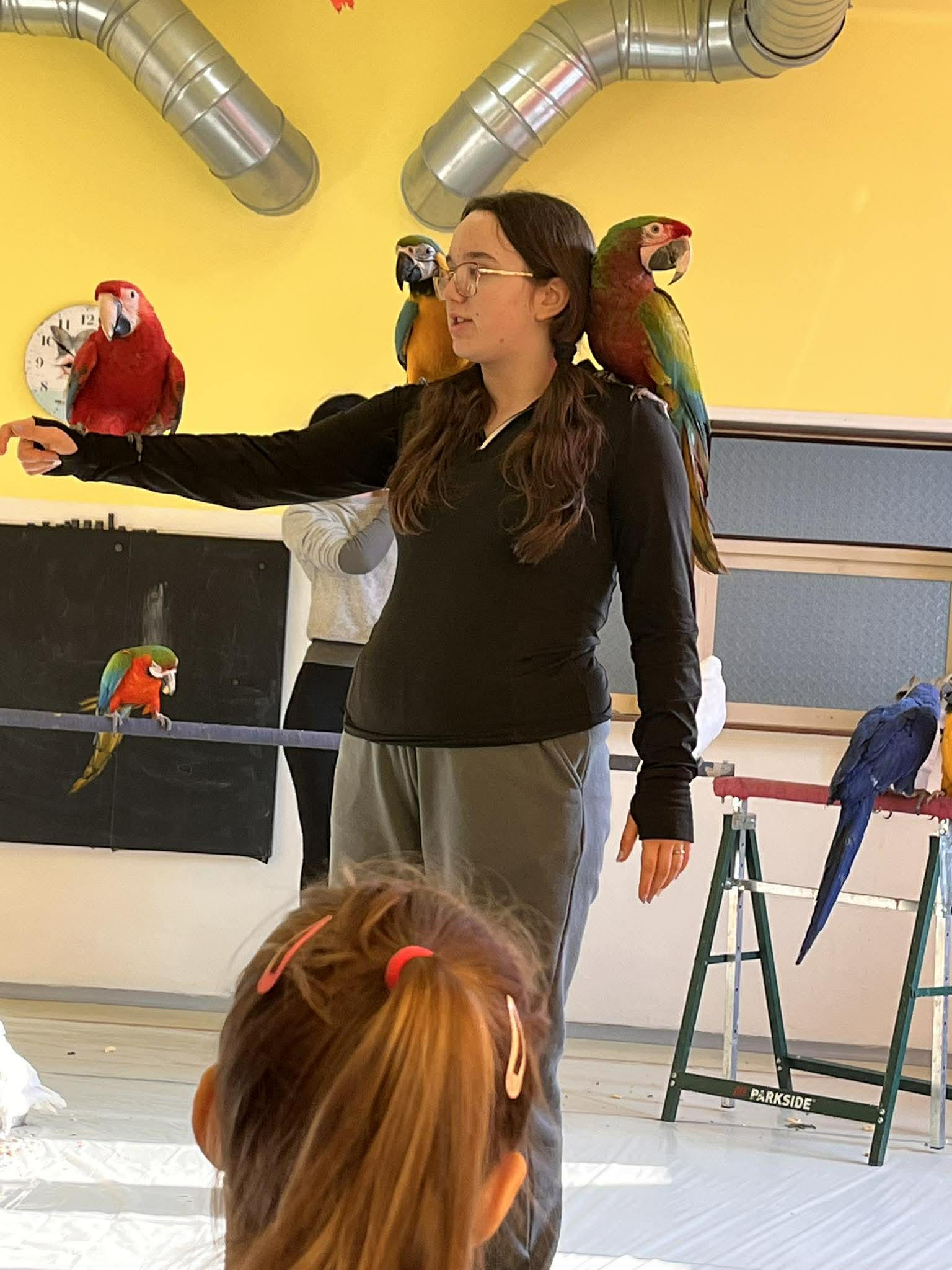 642748662_1626494638594664_4072798969648197719_n