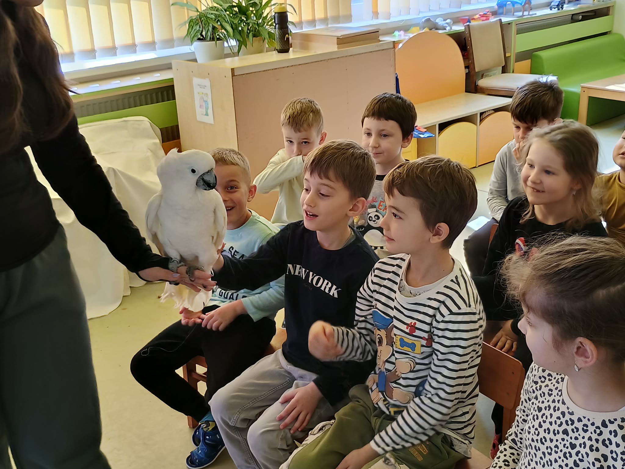 644780452_911554661853218_1324077420299732200_n